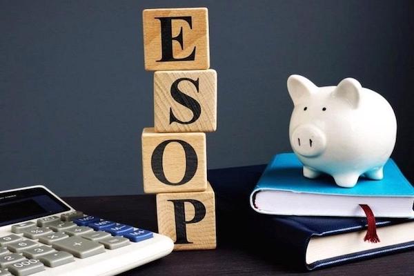 Cổ phiếu ESOP là gì? Những thông tin quan trọng cần biết về cổ phiếu ESOP