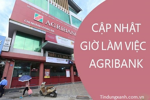 Giờ Làm Việc Ngân Hàng Agribank Tại Các Chi Nhánh Toàn Quốc 2024