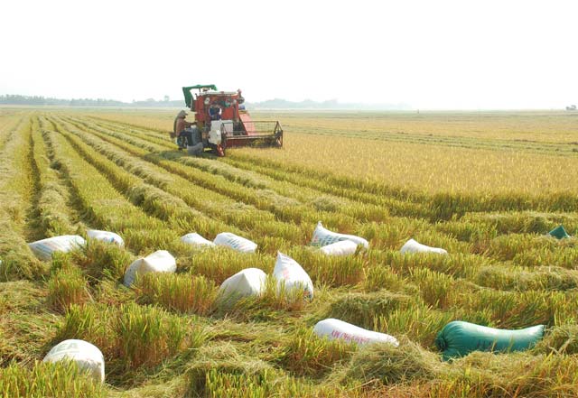 Khám phá Việt Nam qua các địa danh trên đồng tiền Việt Nam