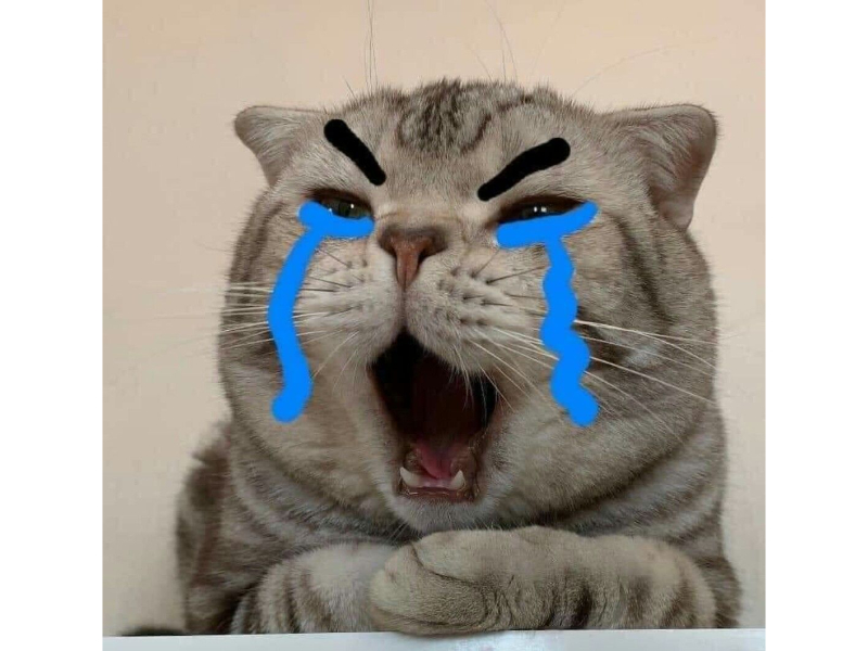 Lưu ngay top meme khóc hài hước không hề giả trân