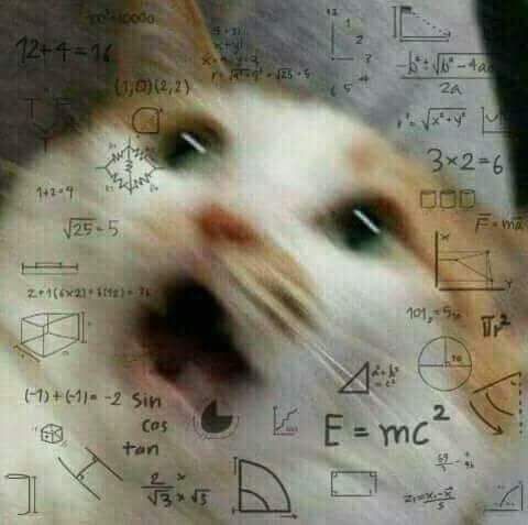 Meme Mèo Tuyển Chọn, Hài Hước Tột Bậc