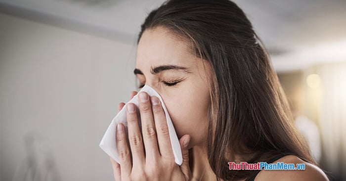 Nhảy mũi (hắt xì hơi) là biểu hiện của điều gì? Khám phá ý nghĩa nhảy mũi theo ngày và giờ
