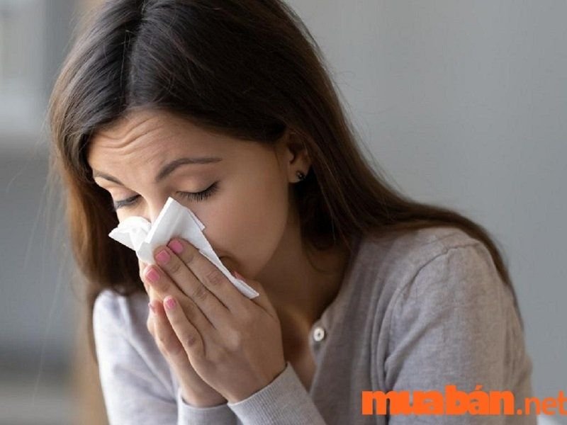 Giải thích điềm báo hắt hơi theo tâm linh và khoa học