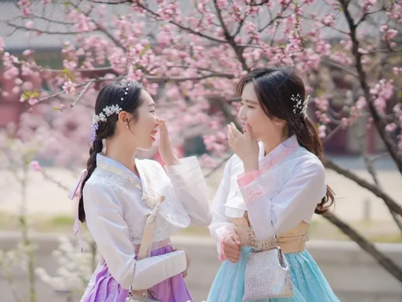An tuê tiếng hàn là gì? Một số ví dụ cụ thể về cụm từ an tuê