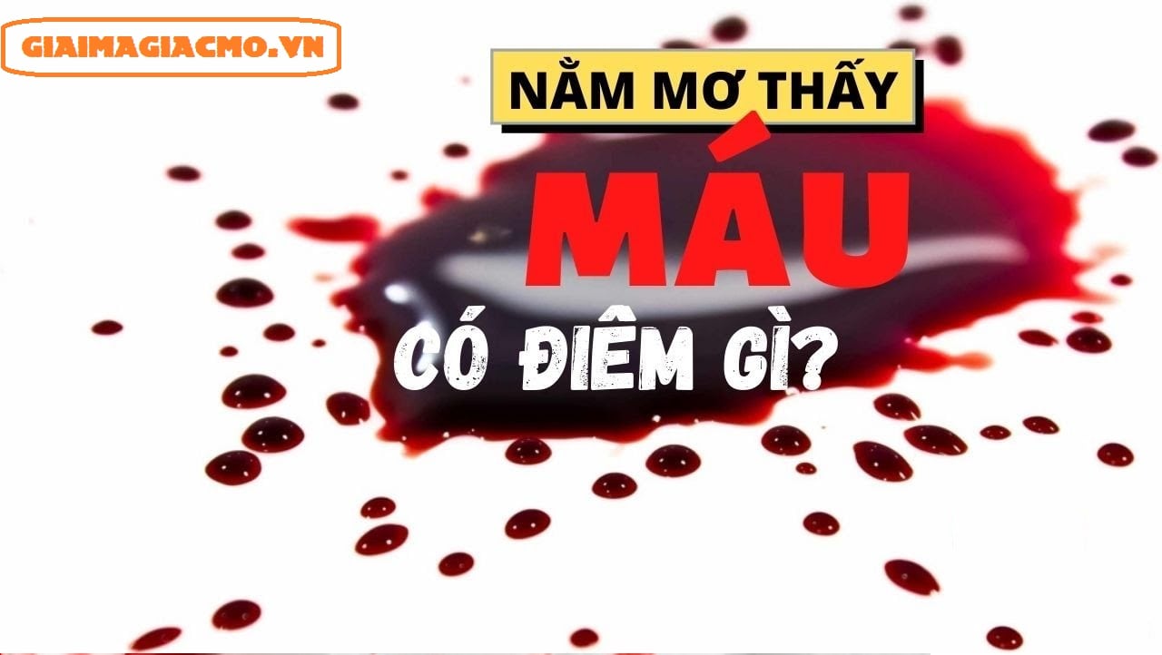 Nằm Mơ Thấy Nước Ngập Đường Đi: Những Điều Bí Ẩn và Giải Mã Lô Đề