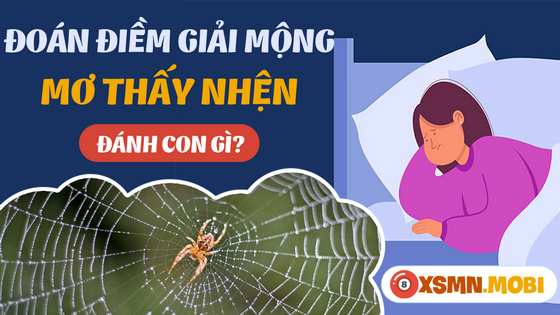 Nằm mơ thấy nhện đánh số gì? - Giải mã điềm báo ngủ mơ thấy con nhện