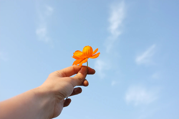 Hình ảnh bầu trời có tay cầm hoa đẹp, bình yên nhất
