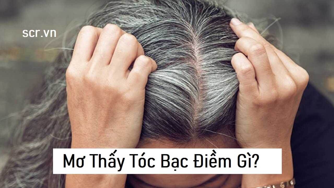 Tắc Kè Kêu 6 Tiếng, 10 Tiếng, 4 Tiếng, 8 Tiếng, 13 Tiếng [Giải Mã Điểm Báo, Số Đề Chuẩn]