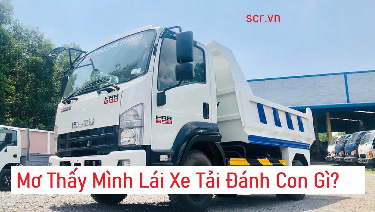 Tắc Kè Kêu 6 Tiếng, 10 Tiếng, 4 Tiếng, 8 Tiếng, 13 Tiếng [Giải Mã Điểm Báo, Số Đề Chuẩn]