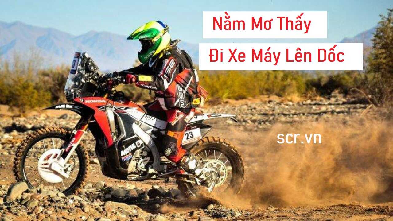 Tắc Kè Kêu 6 Tiếng, 10 Tiếng, 4 Tiếng, 8 Tiếng, 13 Tiếng [Giải Mã Điểm Báo, Số Đề Chuẩn]