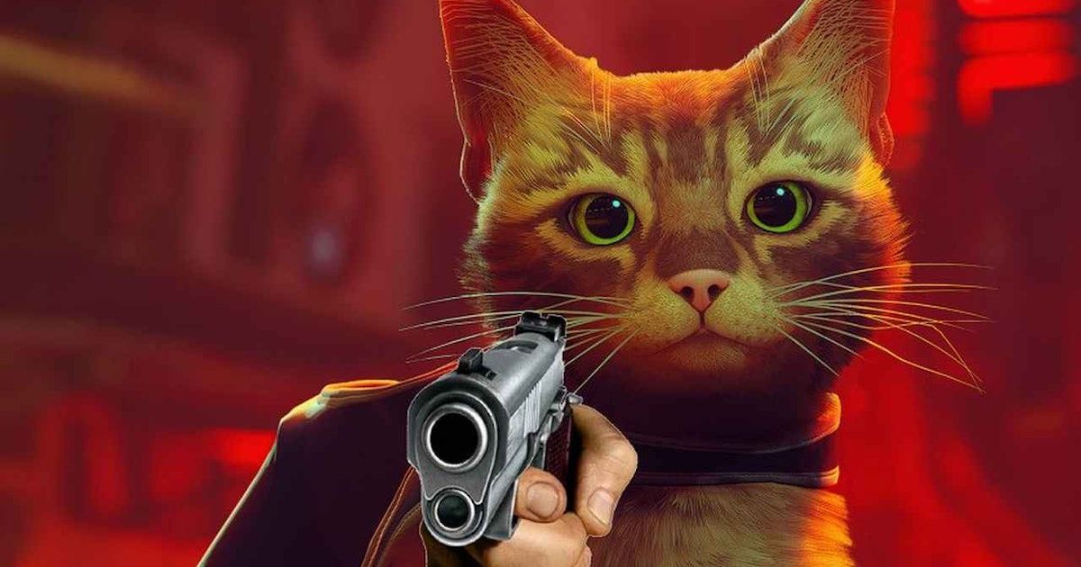 LƯU NGAY 111+ Ảnh Mèo Cầm Súng ĐÁNG YÊU NHẤT THẾ GIỚI
