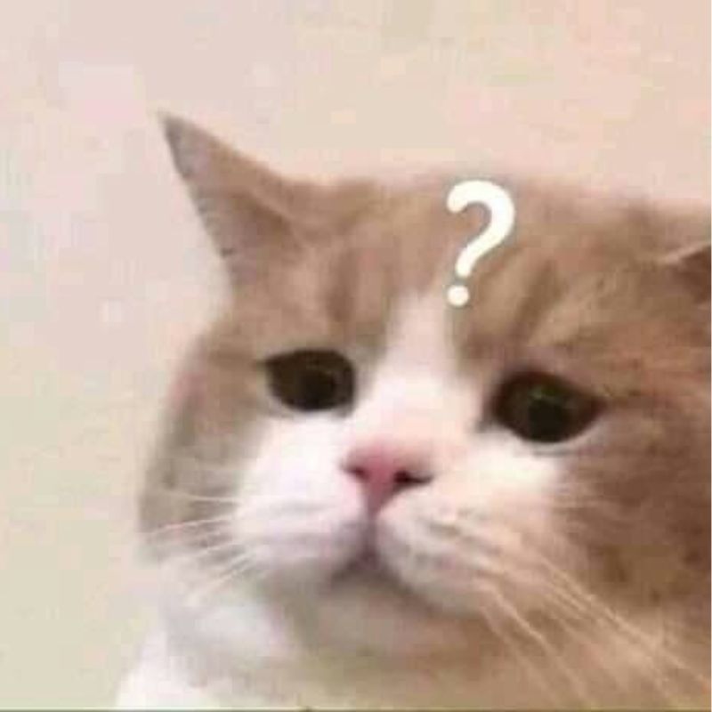 Trọn bộ ảnh Meme Mèo hài hước - Cat Meme bựa nhất (hình gốc)
