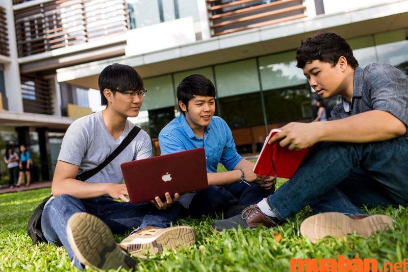 [Mới Nhất] Học Phí Trường Đại Học RMIT Năm Học 2024 - 2025