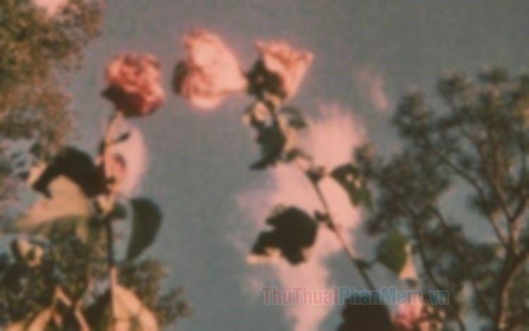 Bức tranh Vintage buồn đẹp nhất