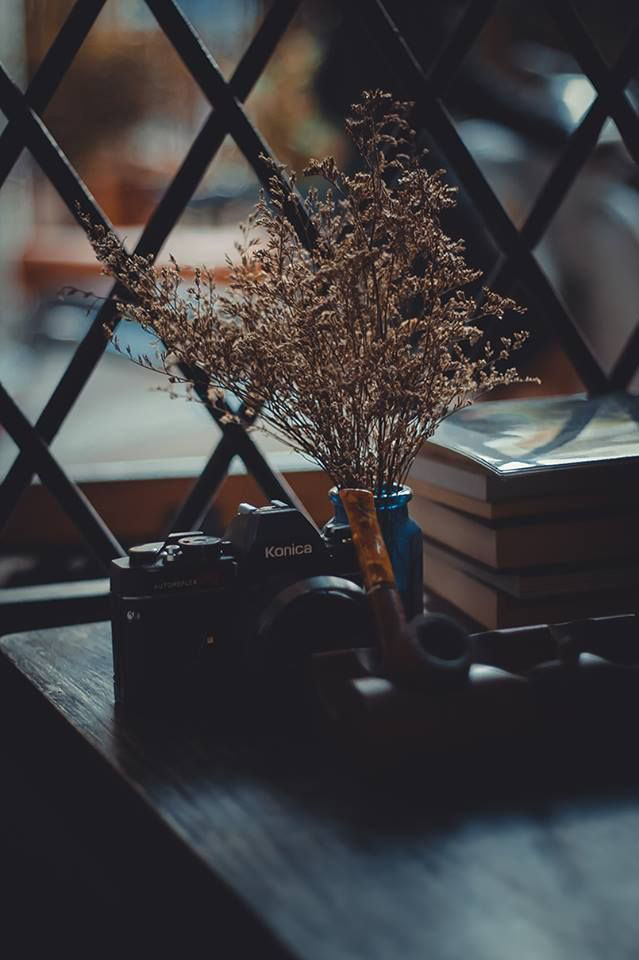 Bức tranh Vintage buồn đẹp nhất
