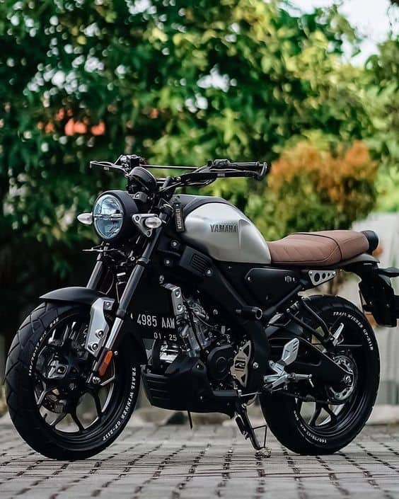 Cực chất kho ảnh XSR155 độ nhiều mẫu đỉnh cao