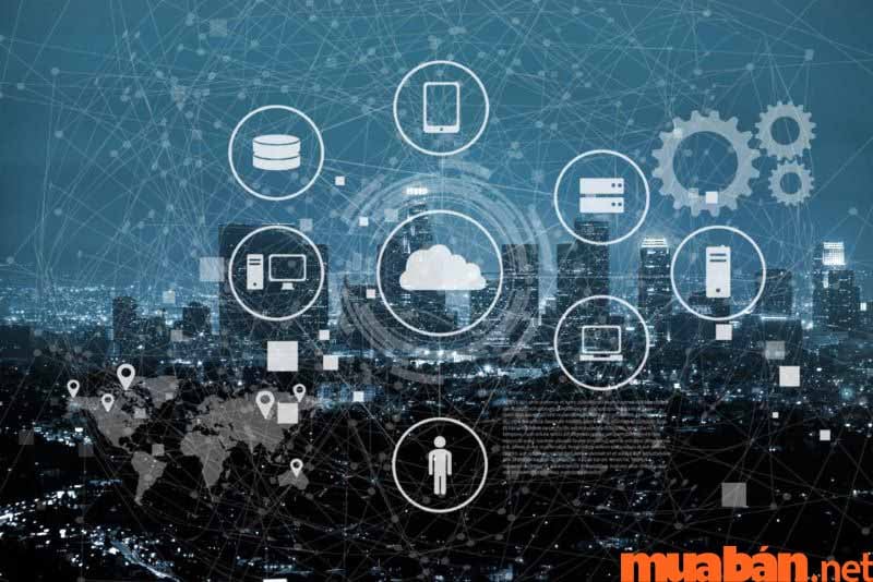 [Mới Nhất] Học Phí Trường Đại Học RMIT Năm Học 2024 - 2025