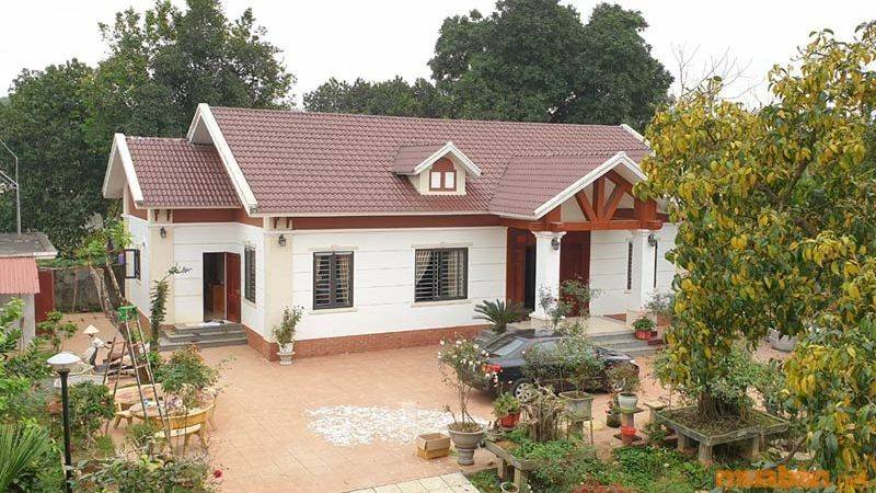 Cho Thuê Nhà Nguyên Căn Hà Nội Giá Rẻ, Chính Chủ T6/2024