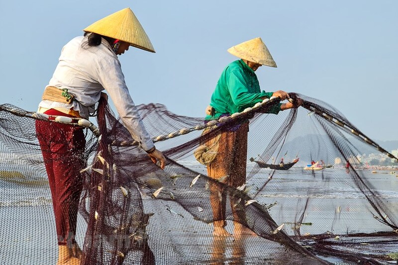 Biển Đồng Châu - Ngắm nhìn vẻ đẹp nên thơ của biển Thái Bình