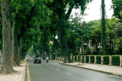 6 con đường đẹp nhất ở Hà Nội mà ai cũng muốn ghé thăm một lần
