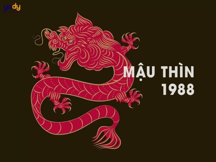 1988 hợp màu gì? Màu sắc trang phục tài lộc cho tuổi 1988