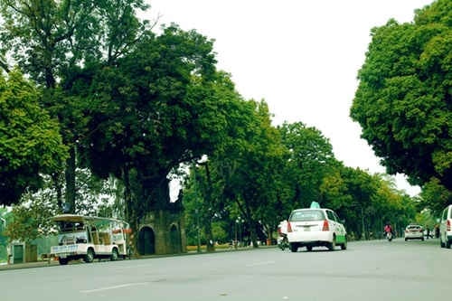 6 con đường đẹp nhất ở Hà Nội mà ai cũng muốn ghé thăm một lần