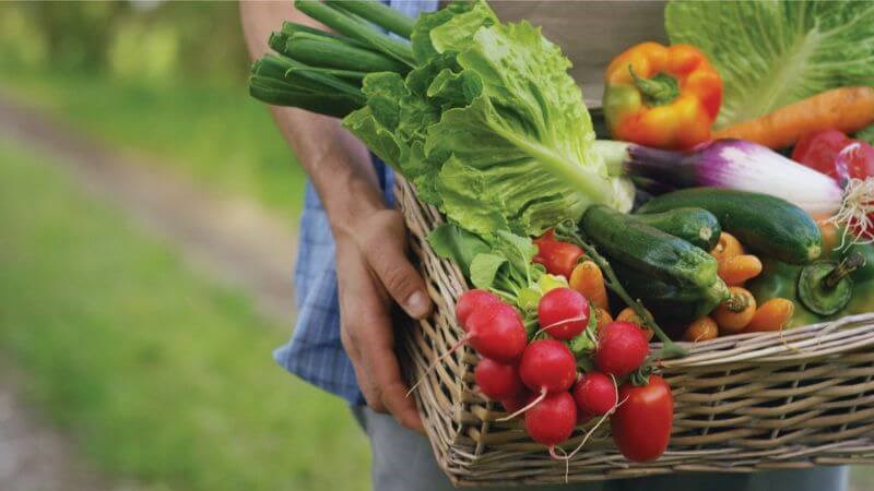 Bị ngứa da nguyên nhân do đâu? Cách giảm triệu chứng ngứa ở da