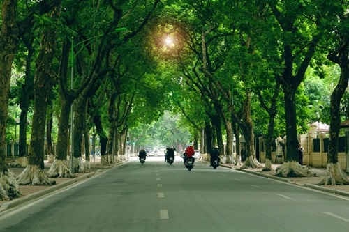 6 con đường đẹp nhất ở Hà Nội mà ai cũng muốn ghé thăm một lần