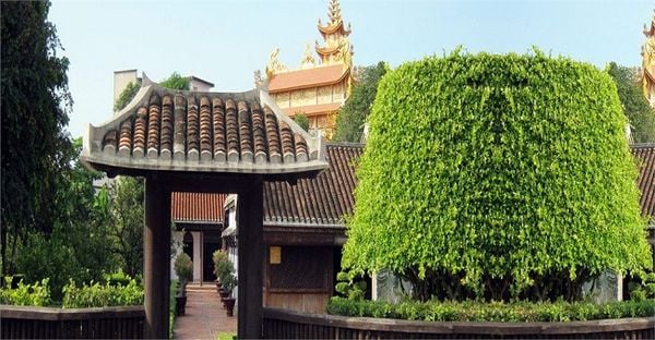 50+ hình ảnh Bình Thuận, ảnh đẹp Phan Thiết làm hình nền đẹp