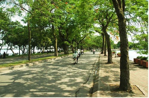 6 con đường đẹp nhất ở Hà Nội mà ai cũng muốn ghé thăm một lần