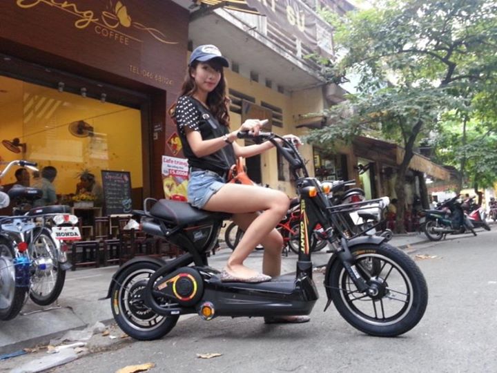 Xe đạp điện Giant 133S