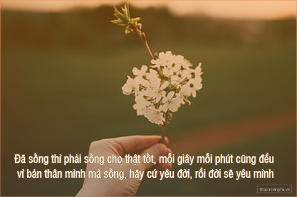 Danh sách STT về bình yên trong cuộc sống, tình yêu, nhẹ nhàng, sâu lắng