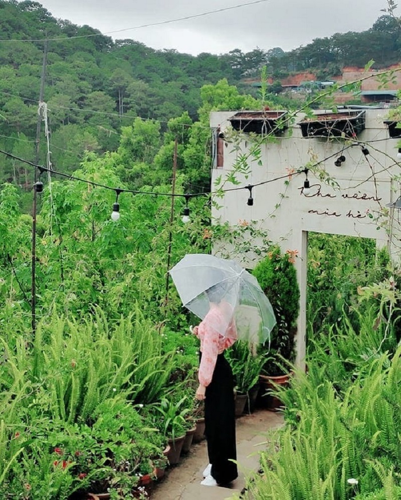 Lạc vào chốn mộng mơ tại cafe Khu Vườn Mùa Hè Đà Lạt