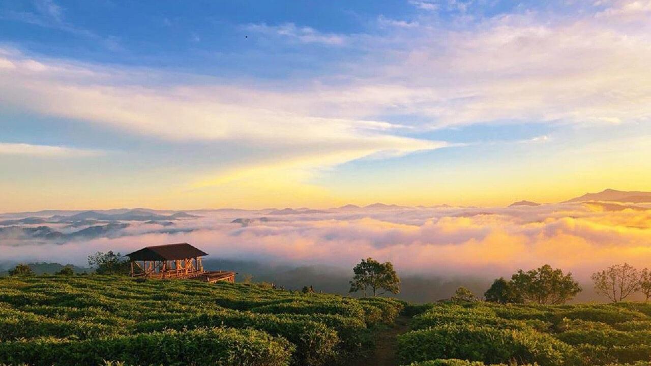 Tour Săn Mây Đà Lạt Đón Bình Minh Cực Chill Giá 199K
