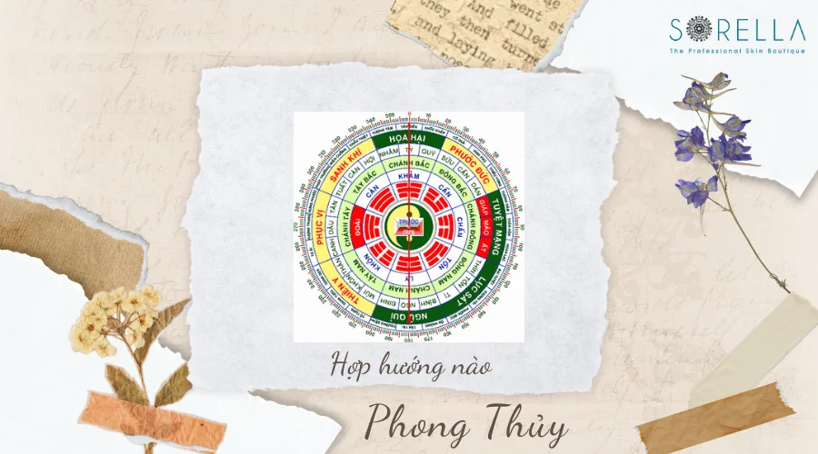 Sinh Năm 1955 Tuổi Con Gì ? Mệnh Gì ? Hợp Hướng Nào ?