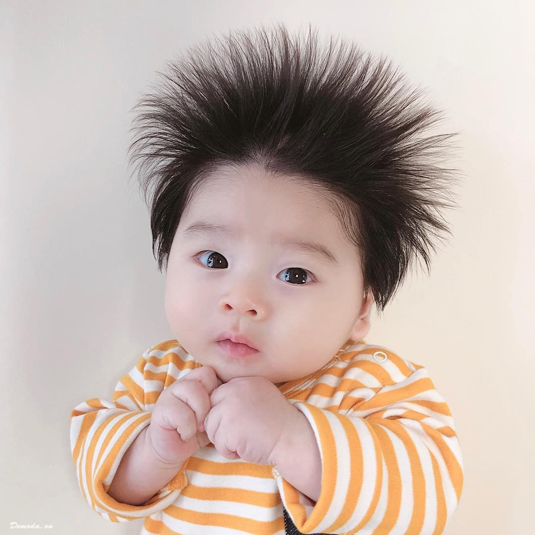 1000 Ảnh Em Bé Hàn Quốc Đáng Yêu Cute Dễ Thương