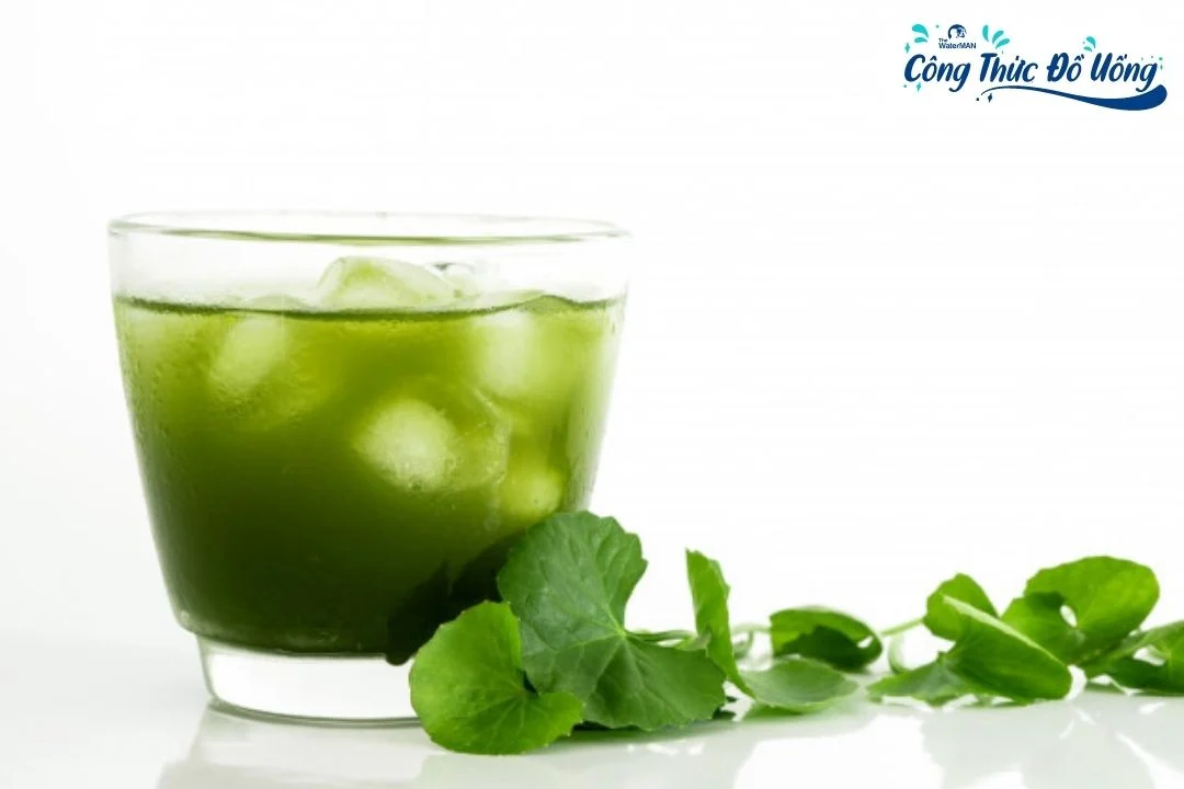 Công thức làm nước ép rau má sữa tươi thanh nhiệt mùa hè