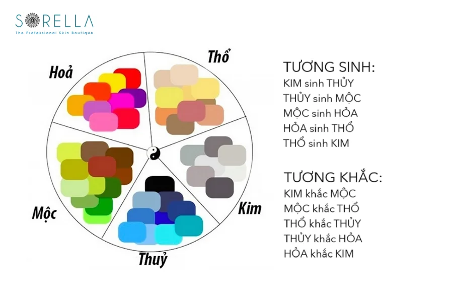 Sinh Năm 1955 Tuổi Con Gì ? Mệnh Gì ? Hợp Hướng Nào ?