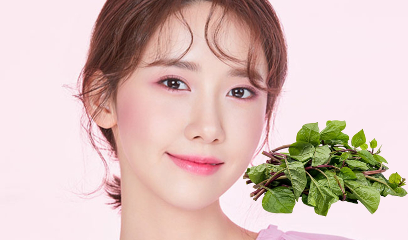 Rau mồng tơi bao nhiêu calo? Ăn có tốt không?