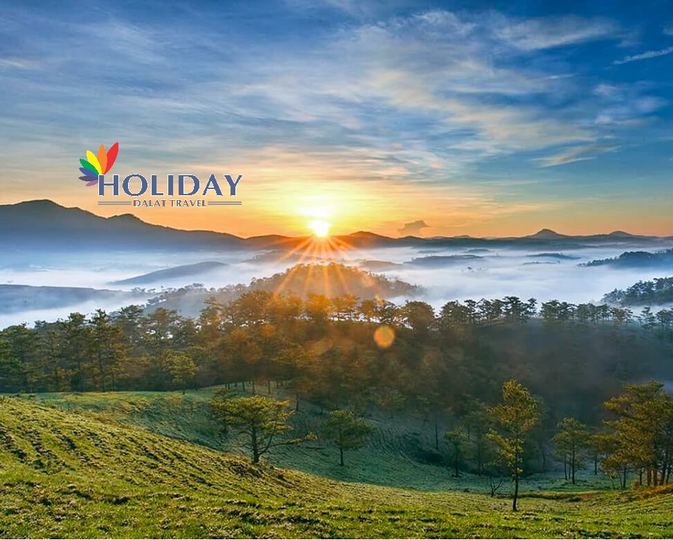 Tour Săn Mây Đà Lạt Đón Bình Minh Cực Chill Giá 199K