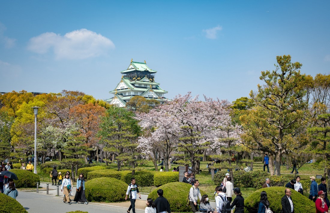 Lâu đài Osaka - Địa điểm ngắm hoa anh đào đẹp nhất tại Nhật Bản