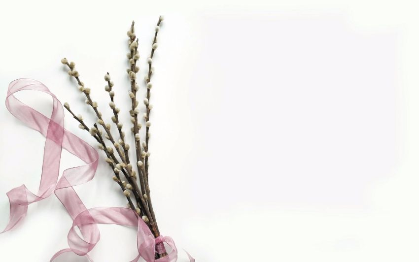 Vẻ đẹp nhẹ nhàng của hình nền