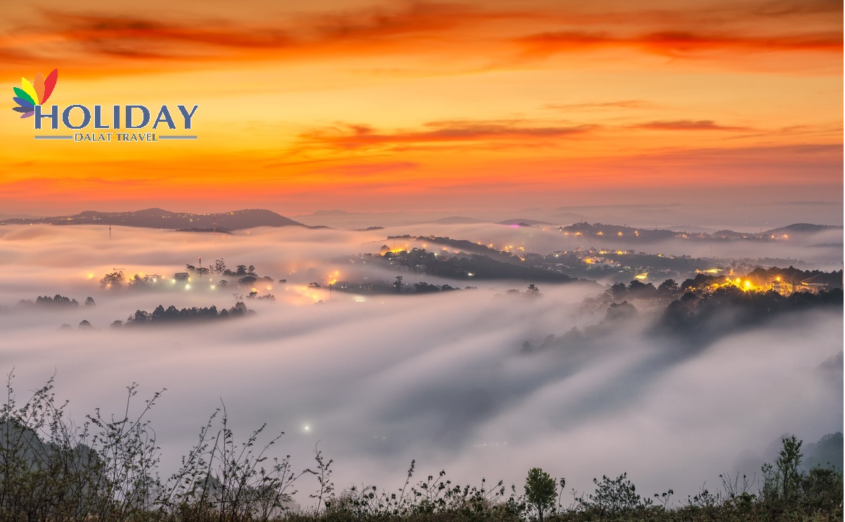 Tour Săn Mây Đà Lạt Đón Bình Minh Cực Chill Giá 199K