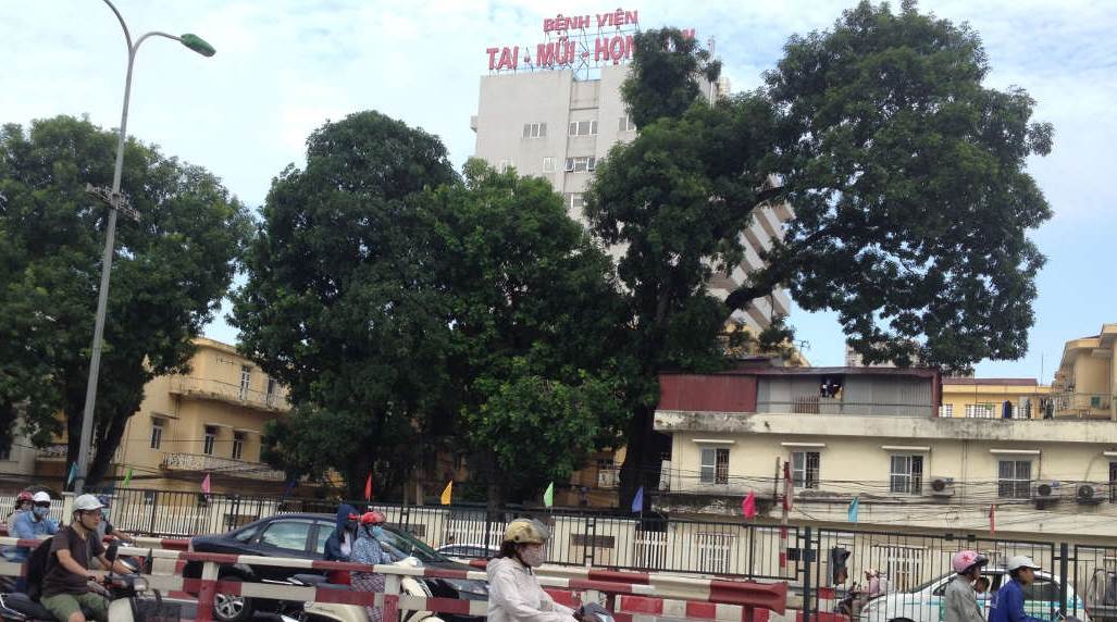 Bệnh viện Tai Mũi Họng Trung ương: lịch khám, thông tin khám và một số lưu ý quan trọng