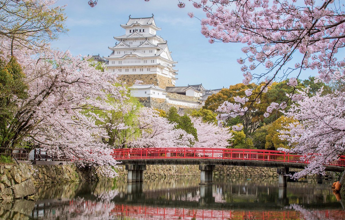 Lâu đài Osaka - Địa điểm ngắm hoa anh đào đẹp nhất tại Nhật Bản