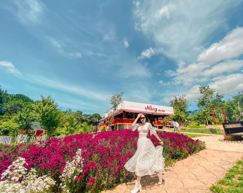 Tour Săn Mây Đà Lạt Đón Bình Minh Cực Chill Giá 199K
